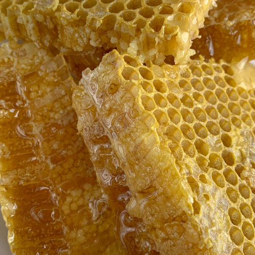 Vous N'avez Jamais Goûté de Miel : Découvrez la Vérité Sur le Miel Sauvage